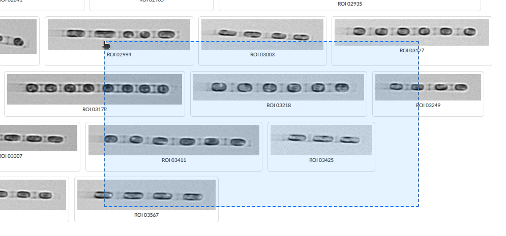 Drag-select: draw a rectangle to select multiple images at once.