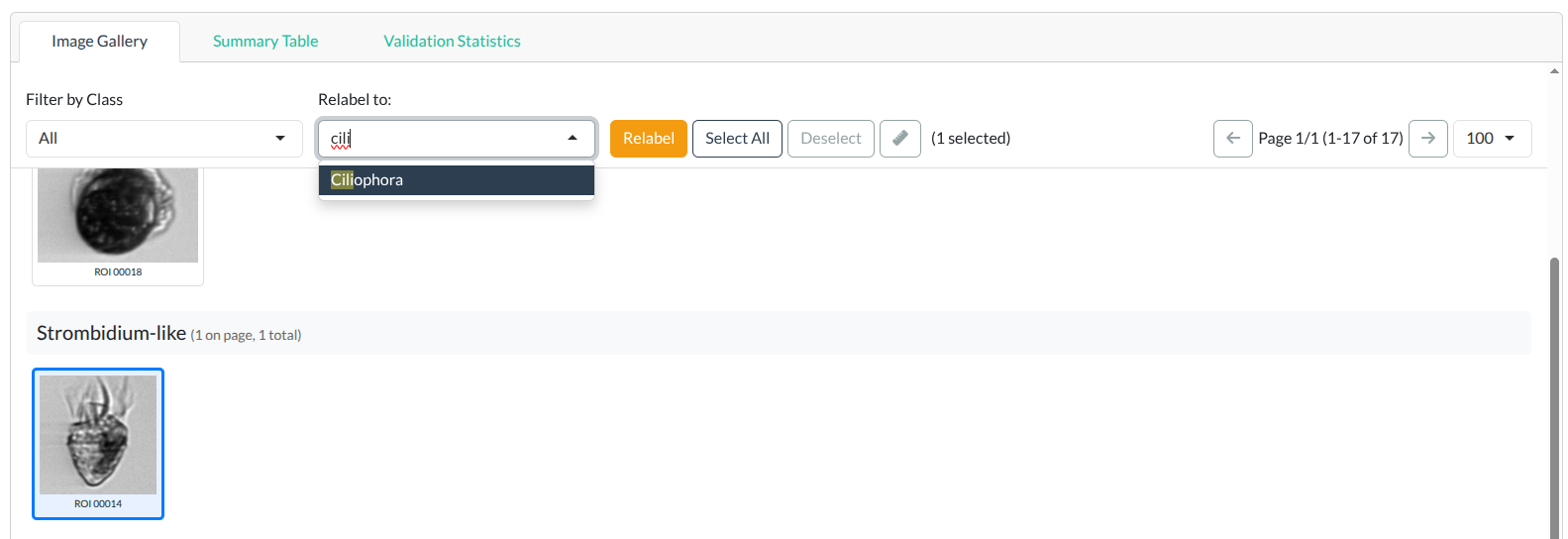 Relabeling workflow: selected images (blue borders) ready to be assigned a new class.